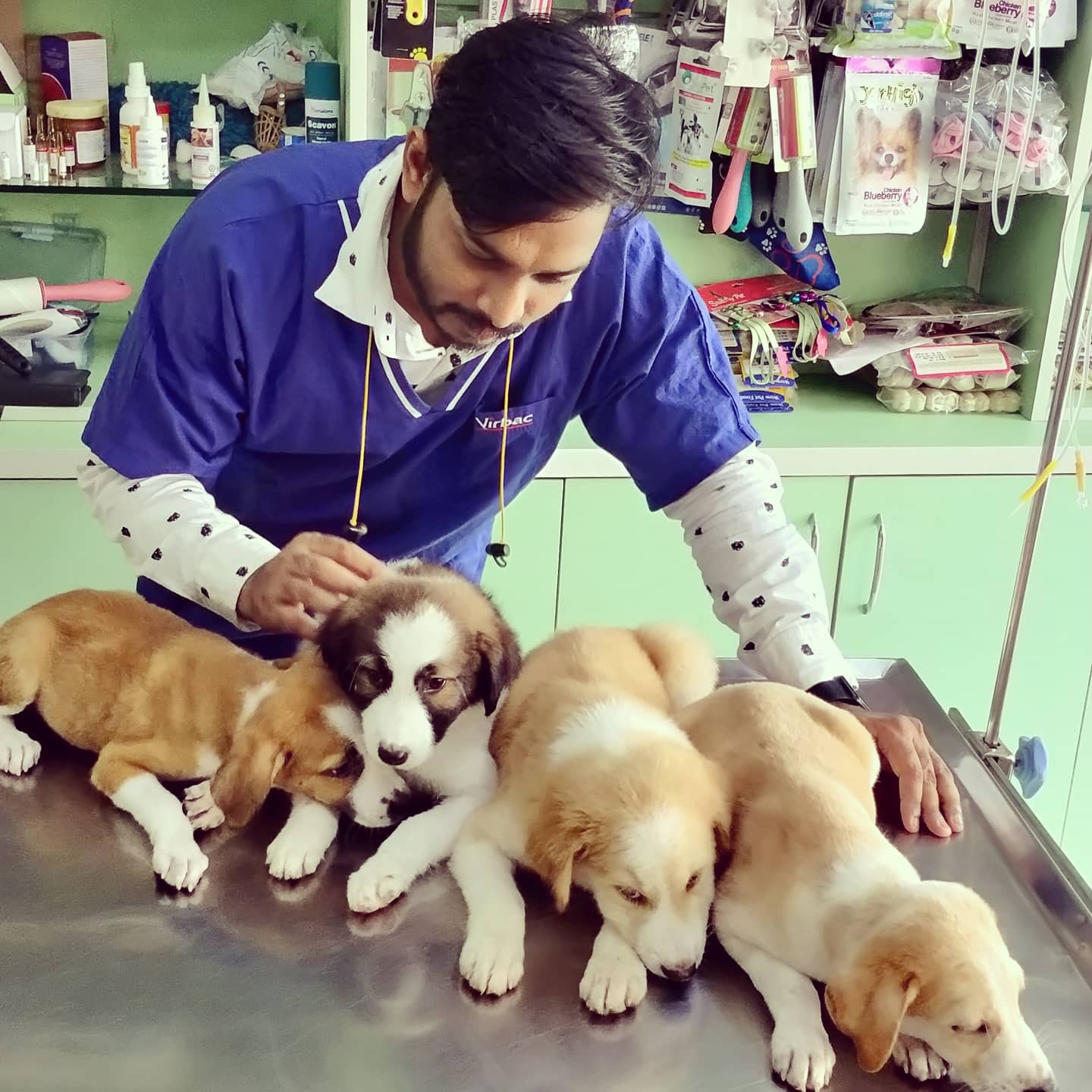 Best Pet Clinic For Dog