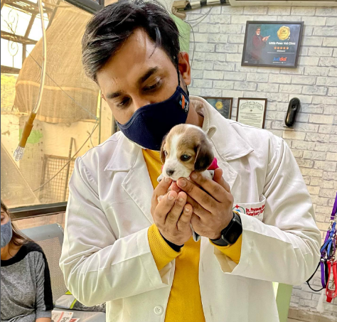 Best Veterinary Doctor