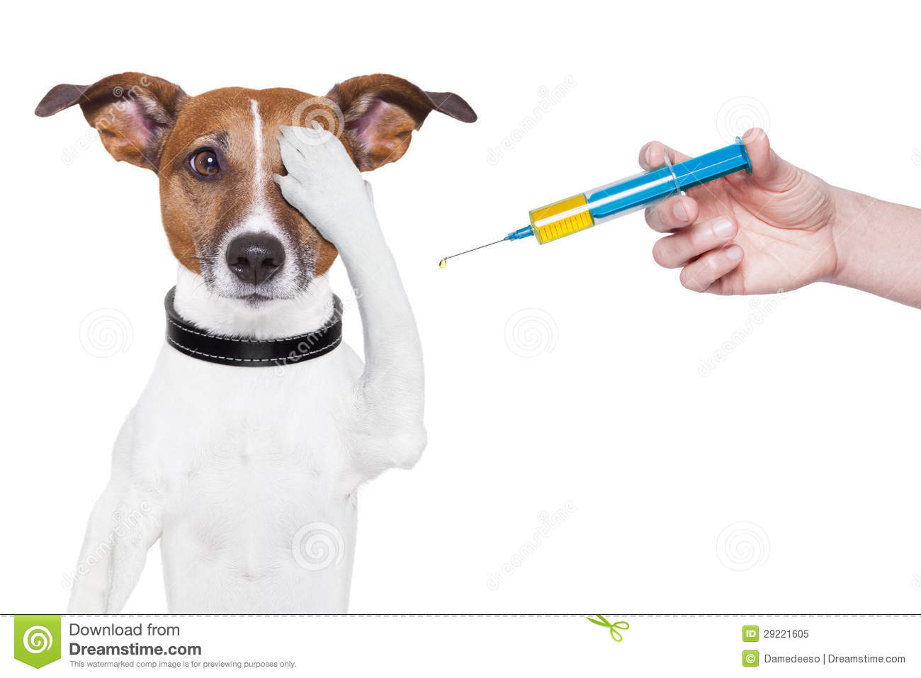 Best Pet Vaccination Centre